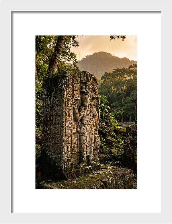 Copan Mayan Stelae At Golden Hour