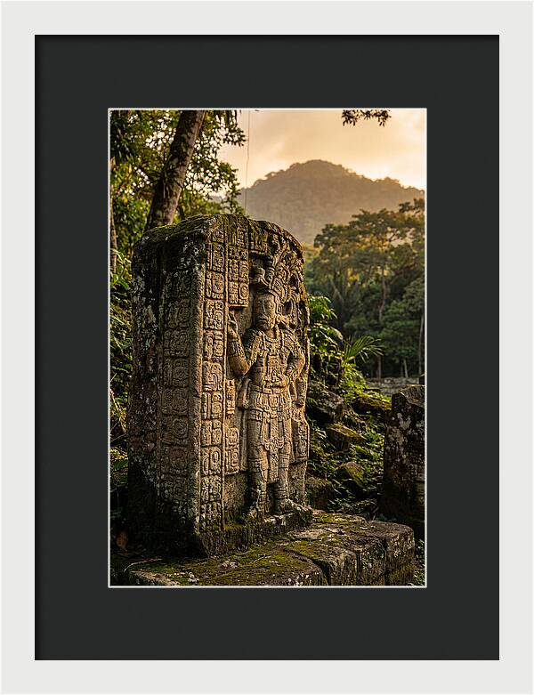 Copan Mayan Stelae At Golden Hour