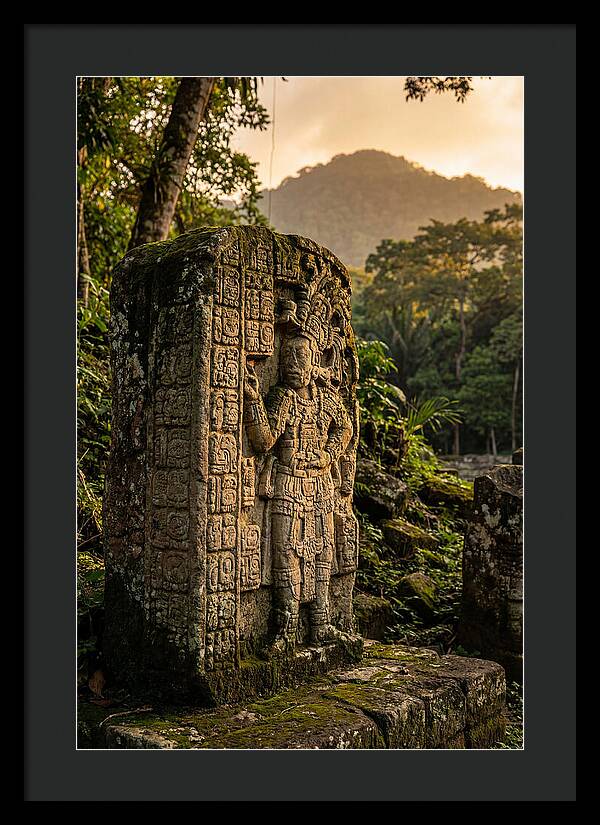 Copan Mayan Stelae At Golden Hour