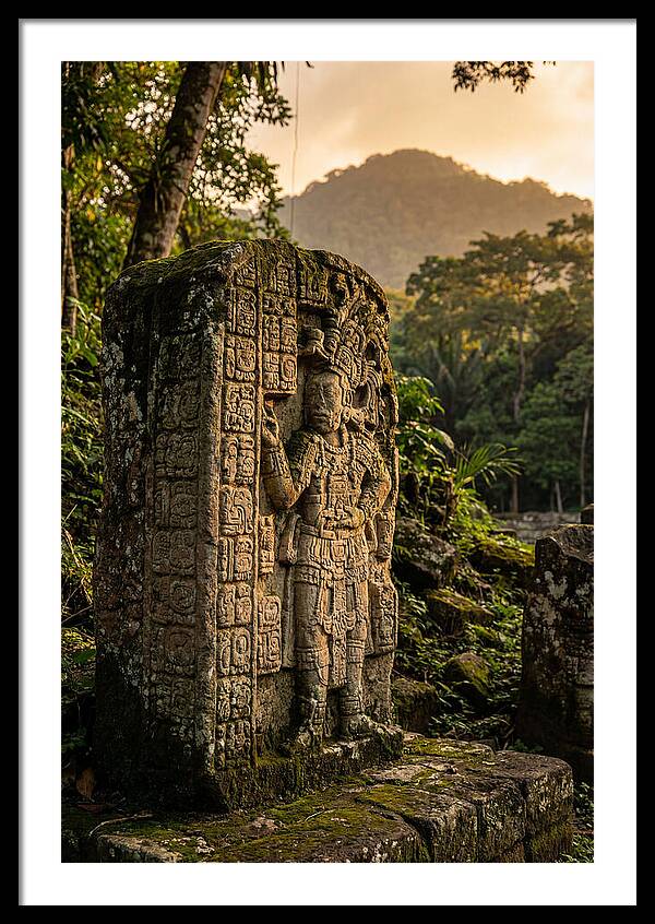 Copan Mayan Stelae At Golden Hour