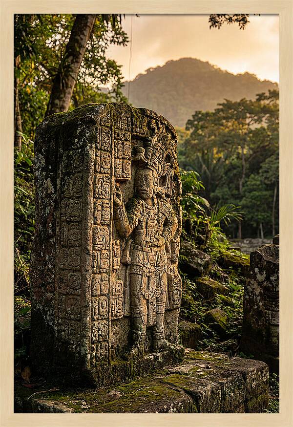 Copan Mayan Stelae At Golden Hour