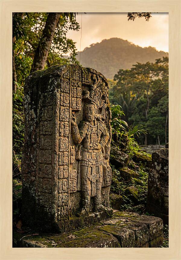 Copan Mayan Stelae At Golden Hour