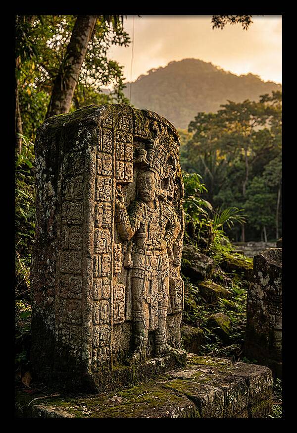 Copan Mayan Stelae At Golden Hour