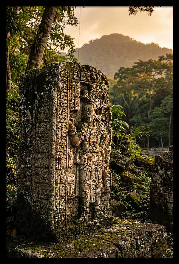 Copan Mayan Stelae At Golden Hour