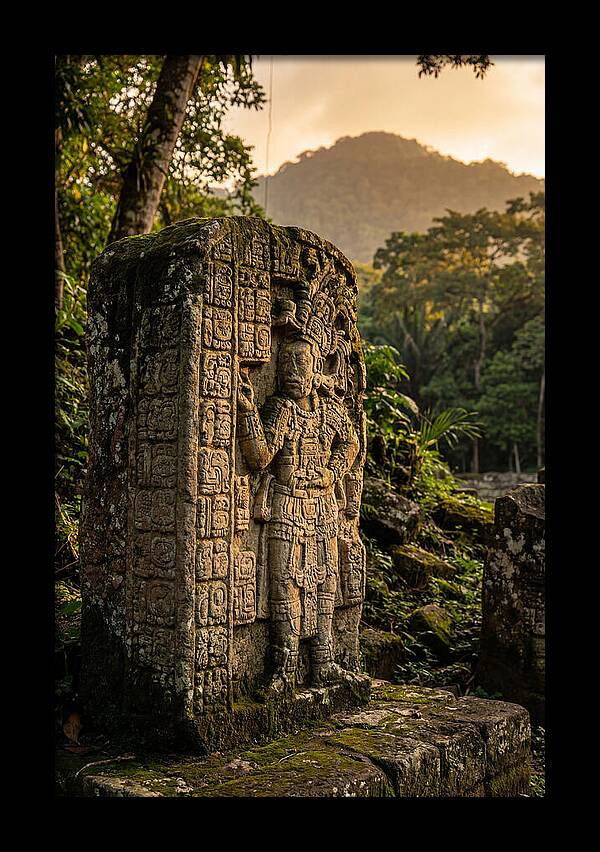 Copan Mayan Stelae At Golden Hour