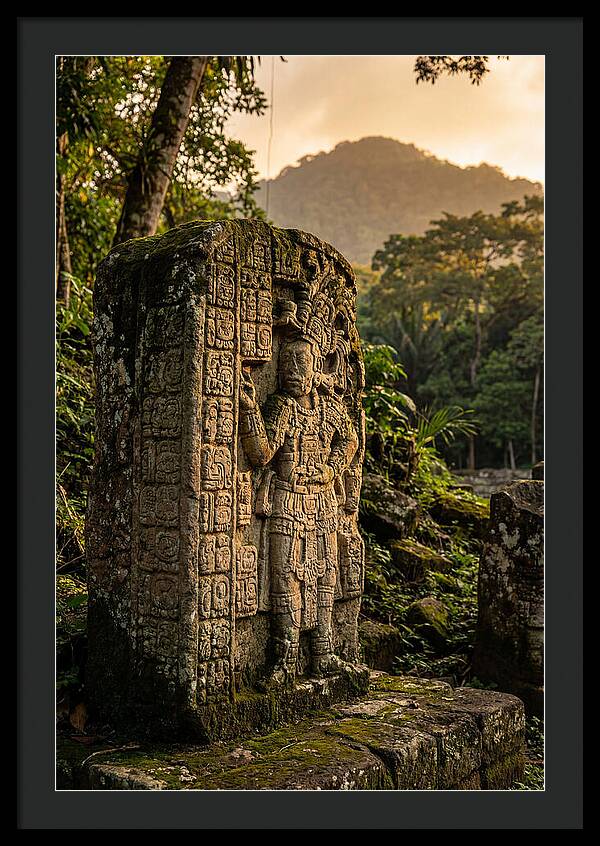 Copan Mayan Stelae At Golden Hour