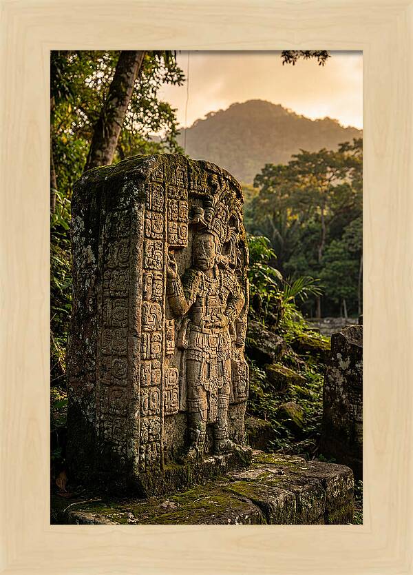 Copan Mayan Stelae At Golden Hour