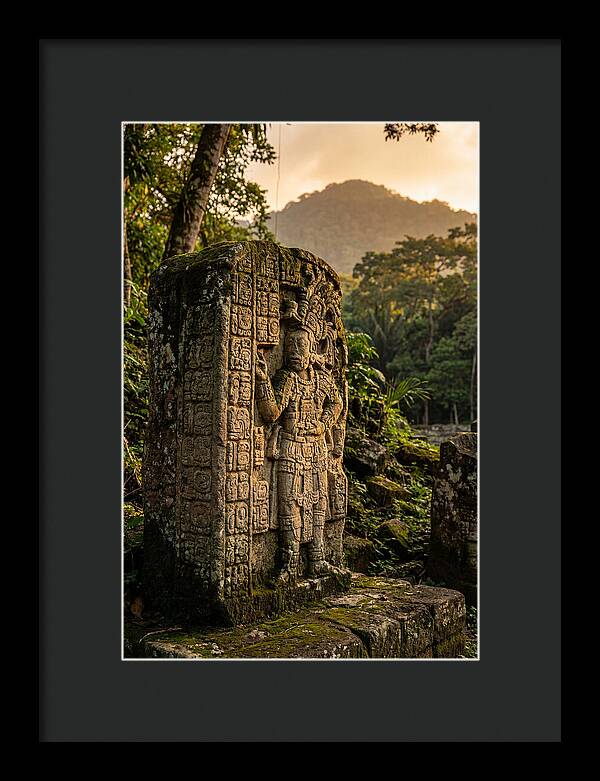Copan Mayan Stelae At Golden Hour