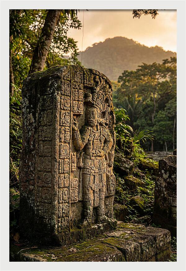 Copan Mayan Stelae At Golden Hour