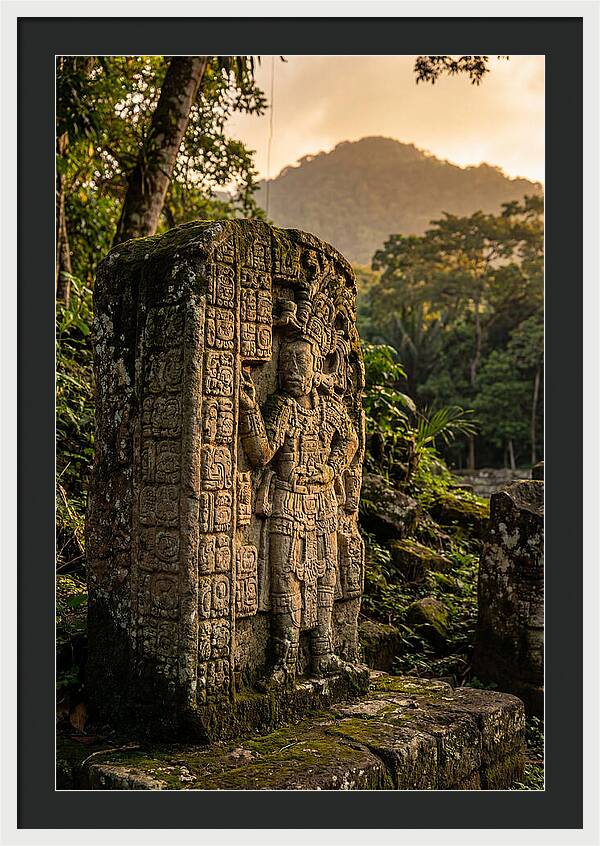 Copan Mayan Stelae At Golden Hour