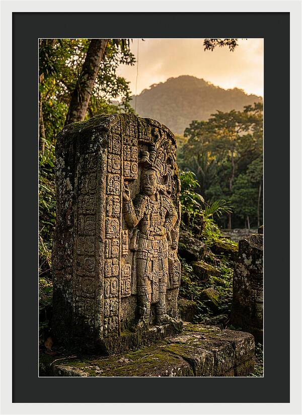 Copan Mayan Stelae At Golden Hour