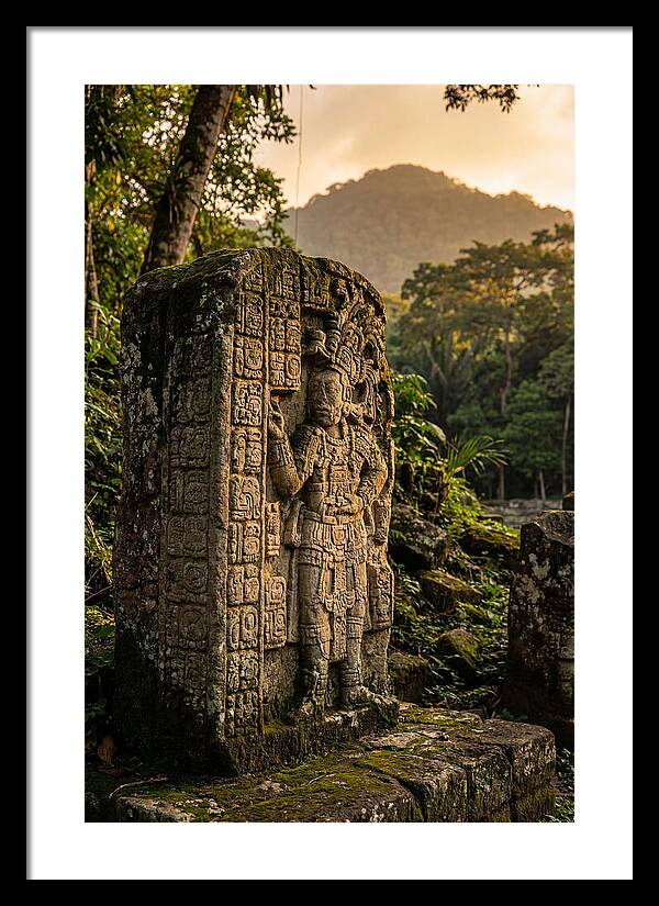 Copan Mayan Stelae At Golden Hour