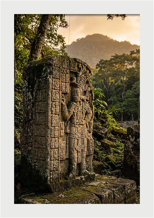 Copan Mayan Stelae At Golden Hour