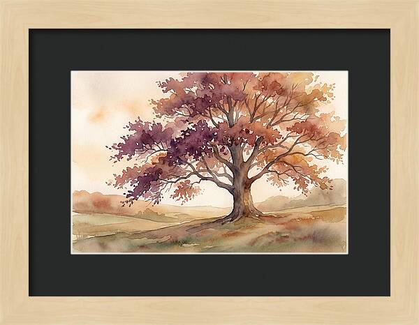 Copper Beech Tree In Autumn