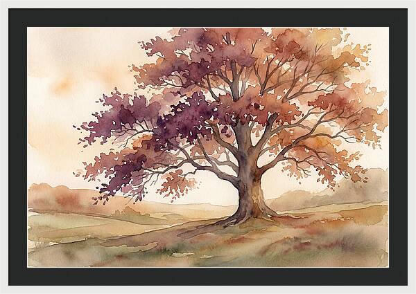 Copper Beech Tree In Autumn