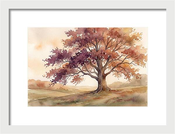 Copper Beech Tree In Autumn