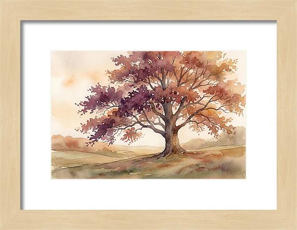 Copper Beech Tree In Autumn