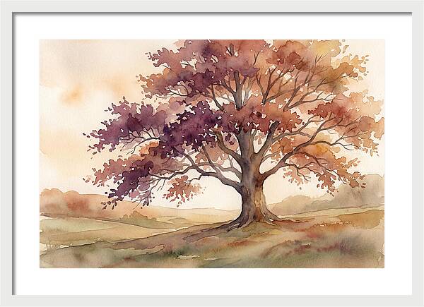 Copper Beech Tree In Autumn