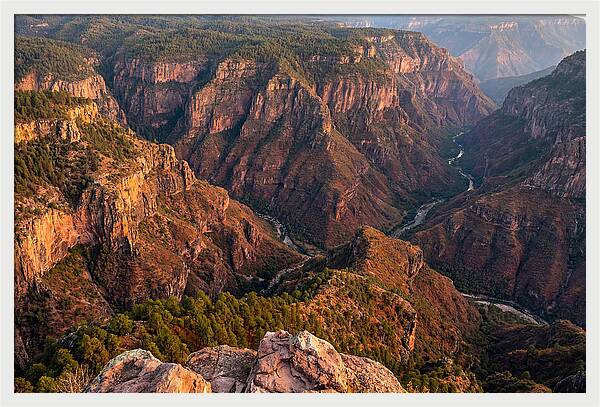Copper Canyon From Divisadero Viewpoint