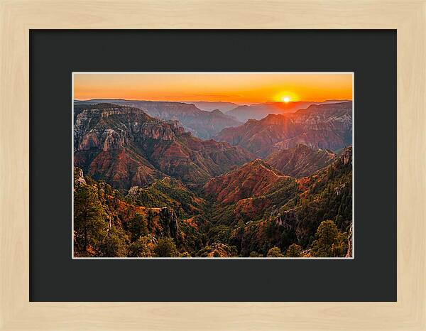 Copper Canyon Sunset View