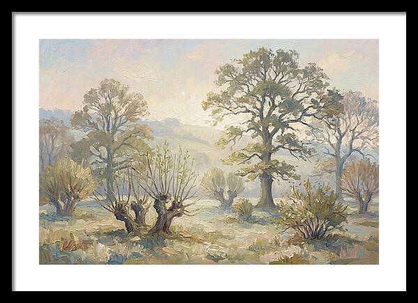 Coppiced Woodland Serenity
