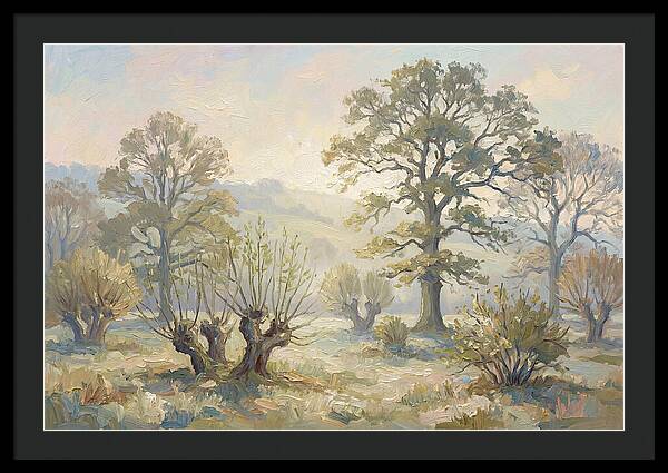 Coppiced Woodland Serenity