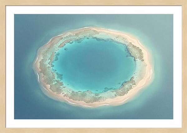 Coral Atoll Serenity
