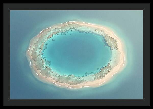 Coral Atoll Serenity