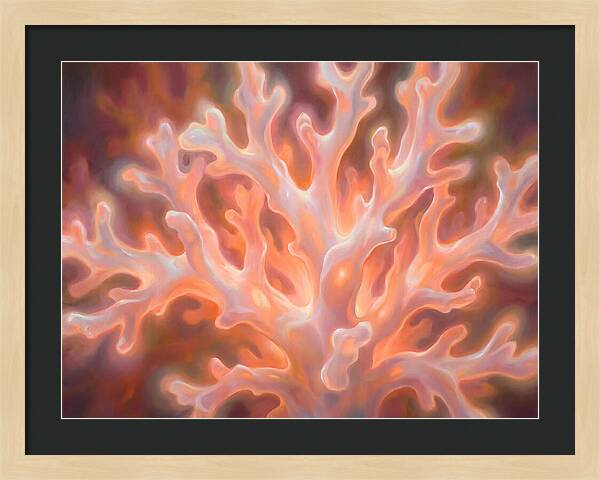 Coral Elegance