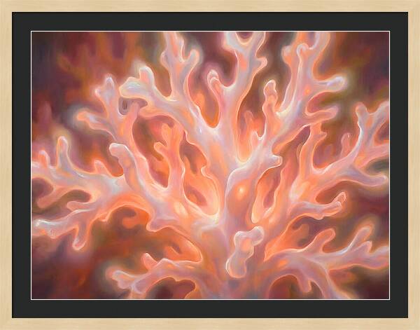 Coral Elegance