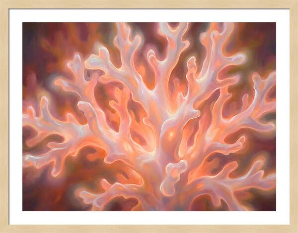 Coral Elegance