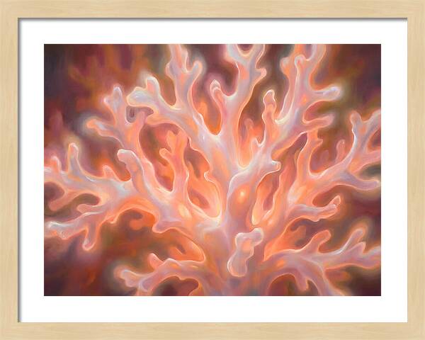 Coral Elegance