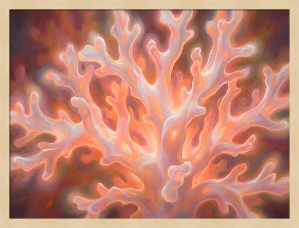 Coral Elegance