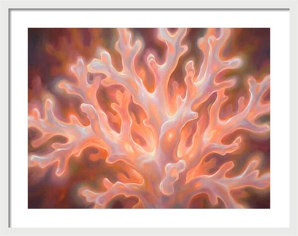 Coral Elegance