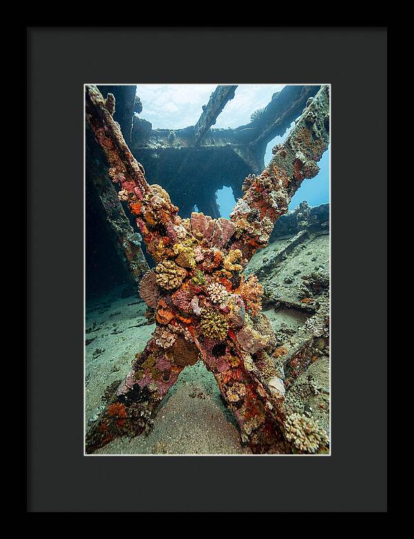 Coral Encrusted Shipwreck