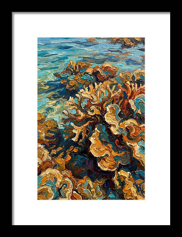 Coral Formation In Shallow Waters