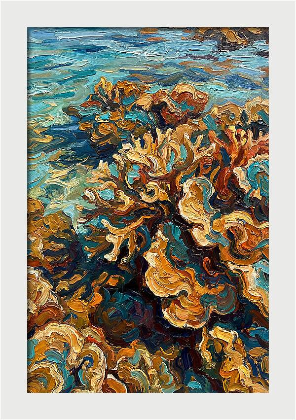 Coral Formation In Shallow Waters