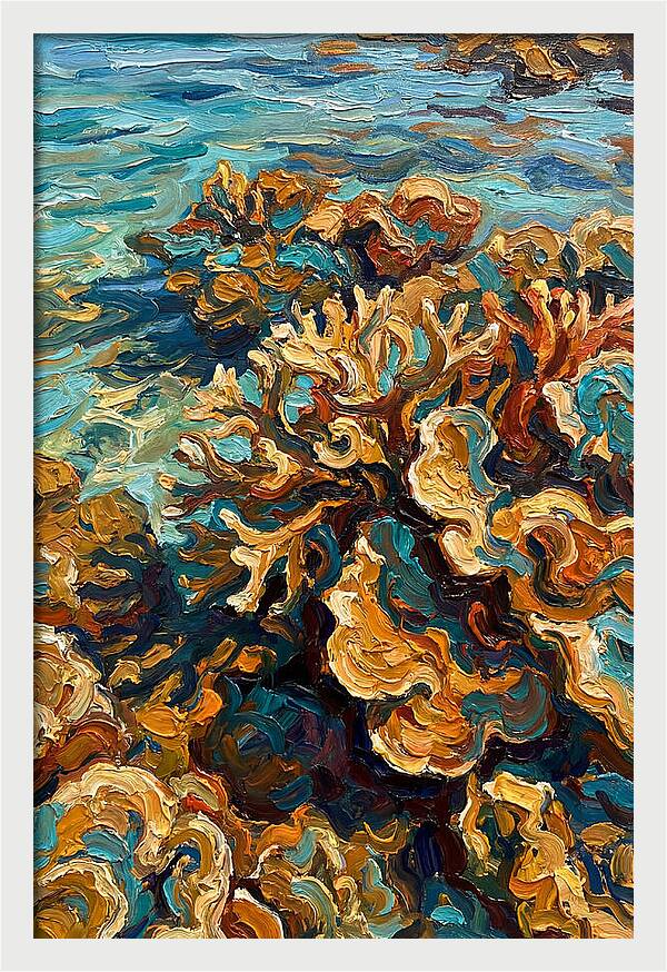 Coral Formation In Shallow Waters