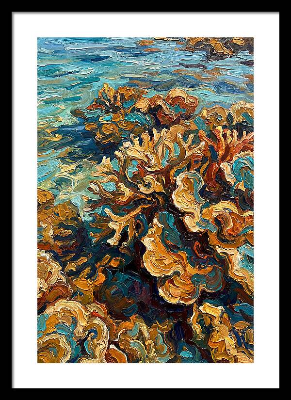 Coral Formation In Shallow Waters