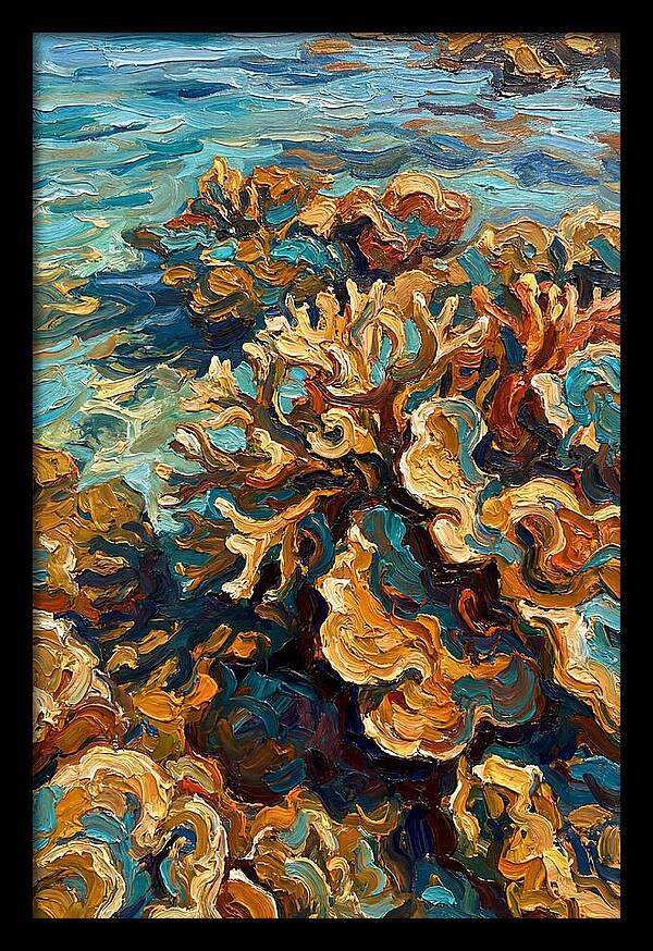 Coral Formation In Shallow Waters