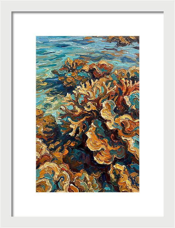 Coral Formation In Shallow Waters