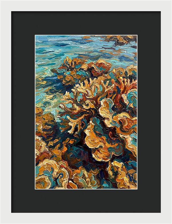 Coral Formation In Shallow Waters