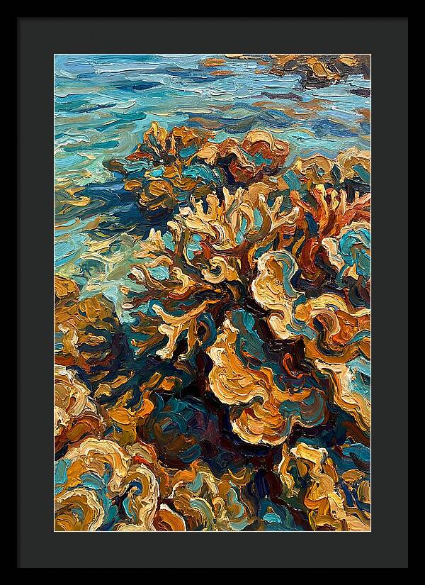 Coral Formation In Shallow Waters