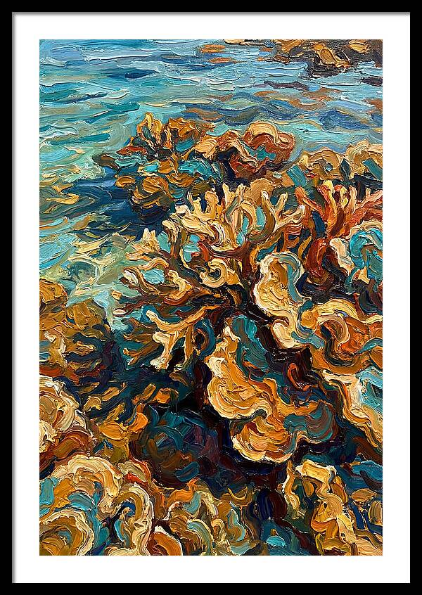 Coral Formation In Shallow Waters