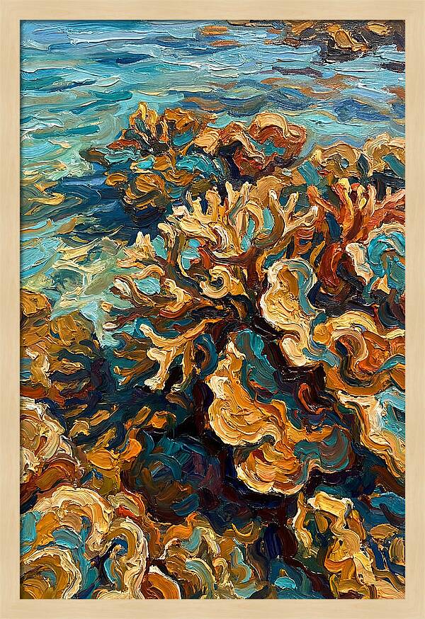Coral Formation In Shallow Waters