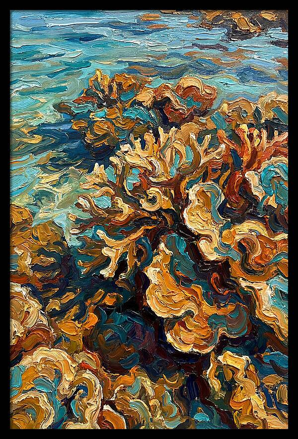 Coral Formation In Shallow Waters