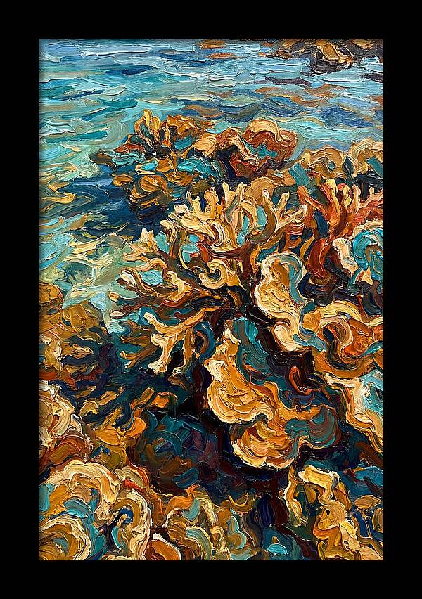 Coral Formation In Shallow Waters