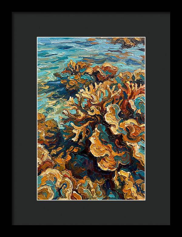 Coral Formation In Shallow Waters