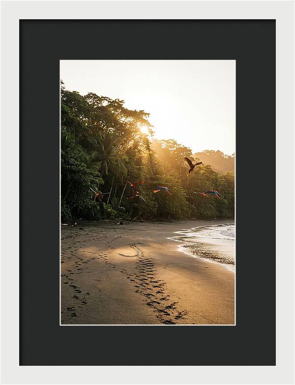 Corcovado National Park Serenity