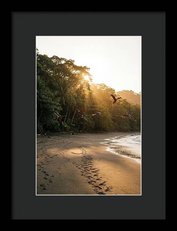 Corcovado National Park Serenity